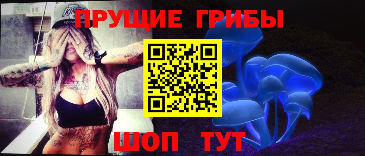 Псилоцибиновые грибы MAGIC MUSHROOMS  Вход с VPN  что такое наркотик  Галлюциногенные грибы мицелий  Пугачёв 